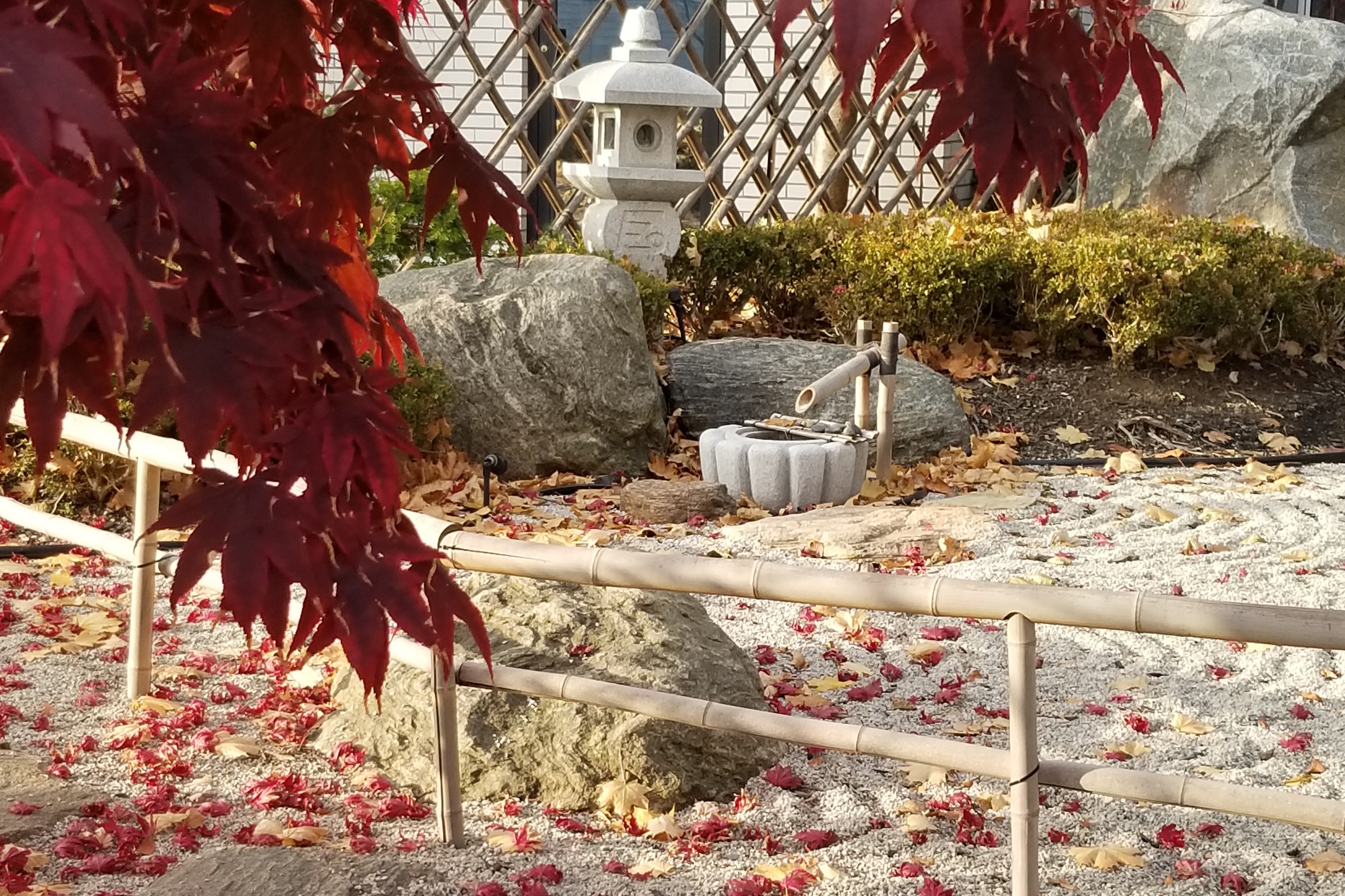 Leaves on the ground over the tended rock garden in fall