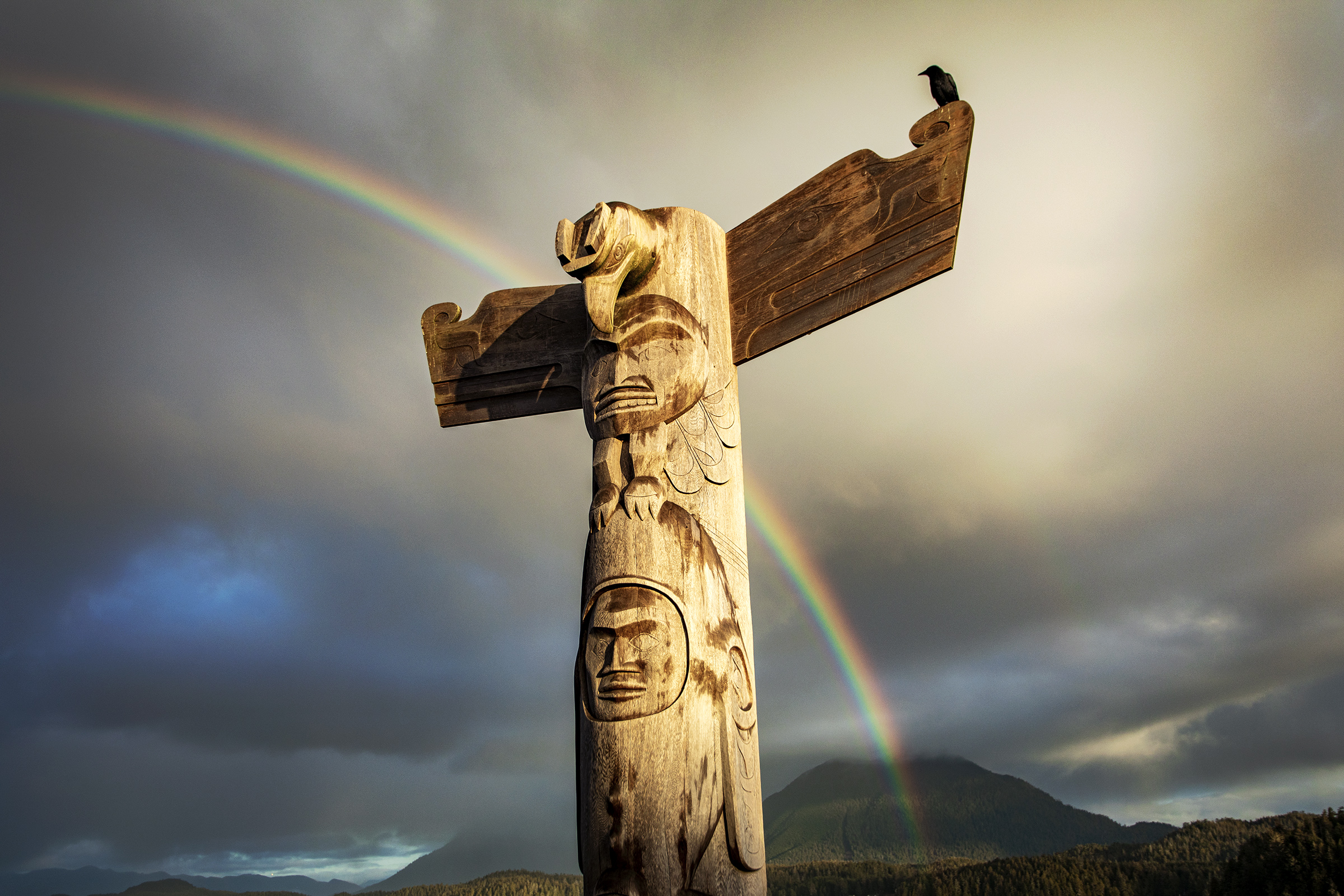 Harmony - David Akio