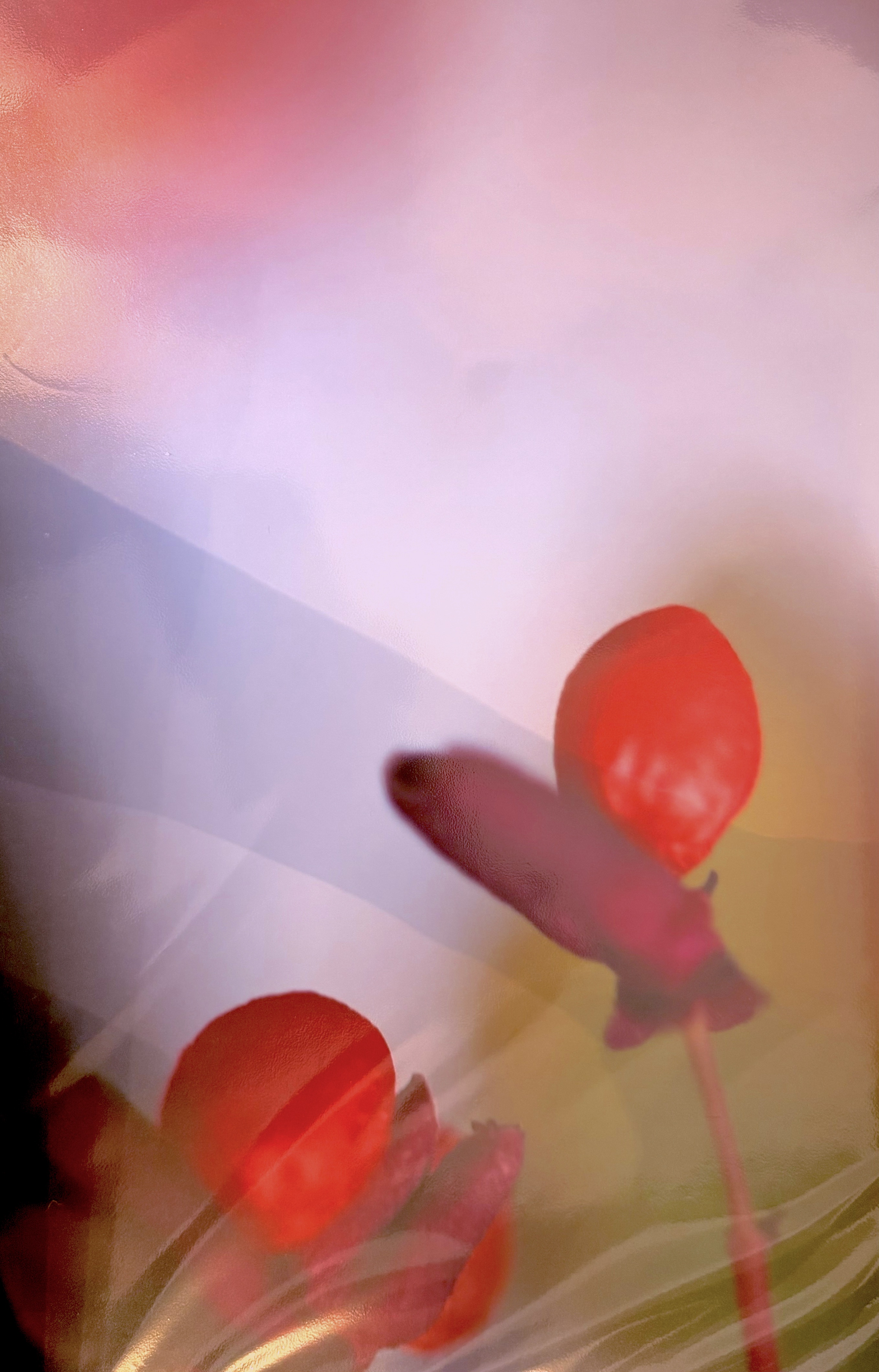 Friendship in Bloom - Marilena Isascescu