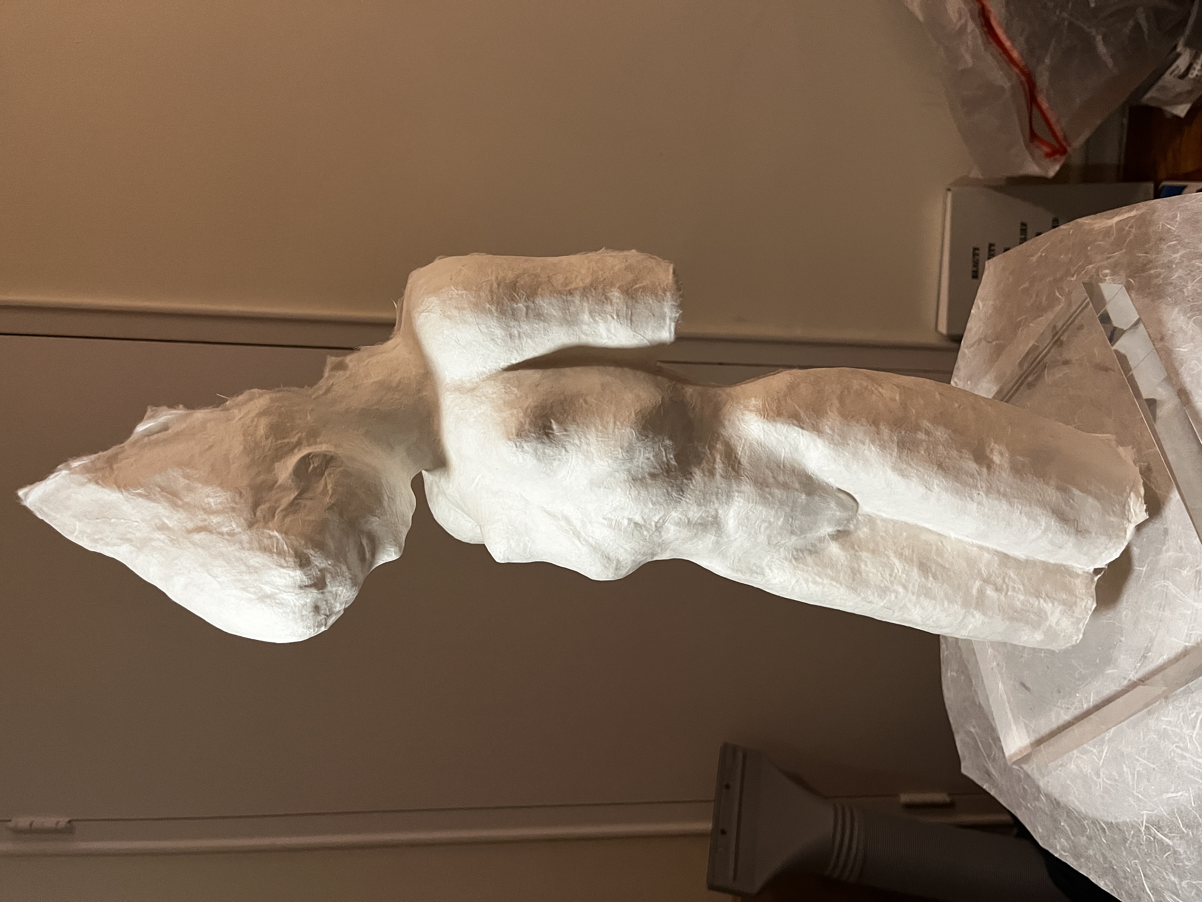 Backstage - Ryo Yonekawa