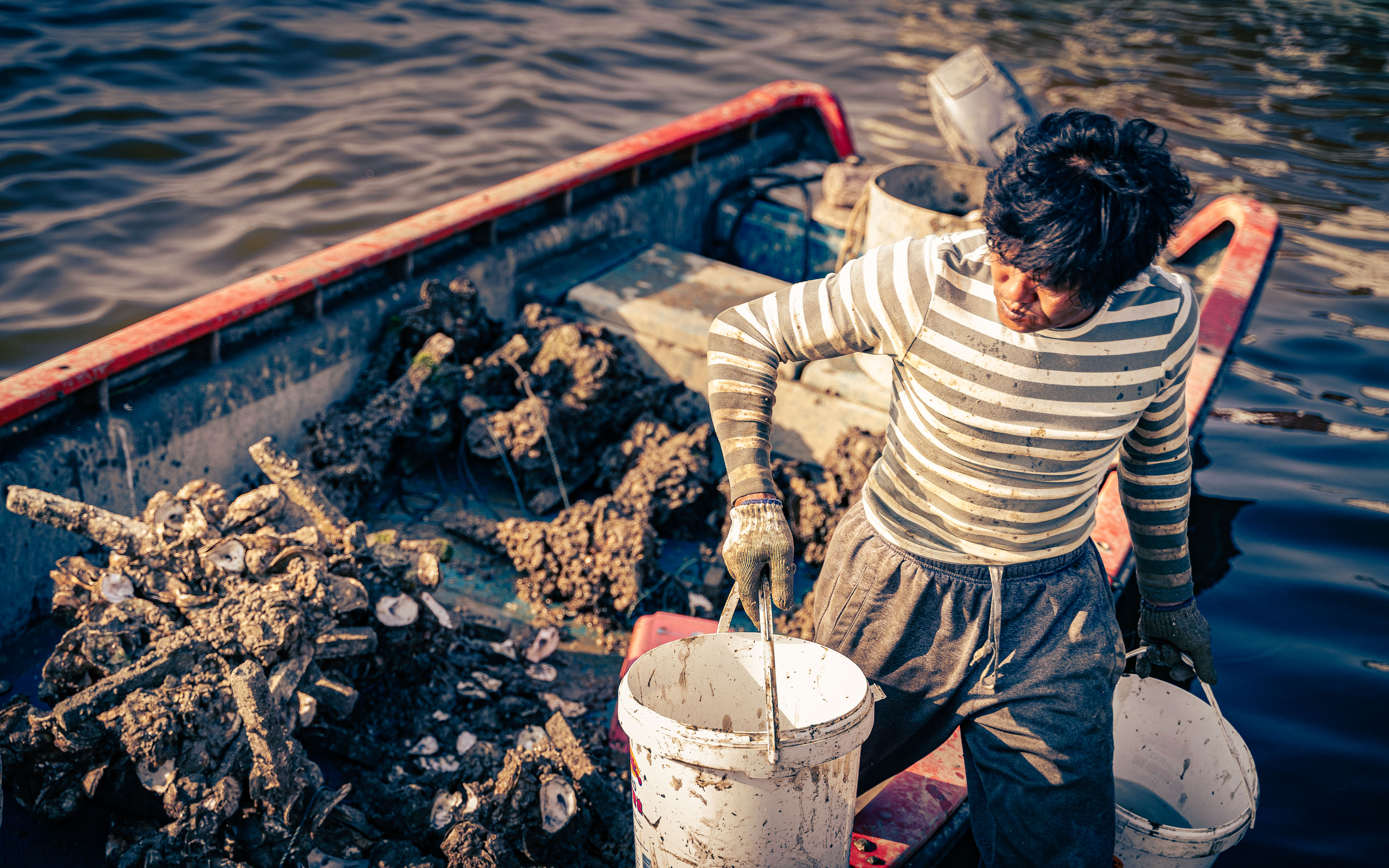 Low Tide Harvest - Yu