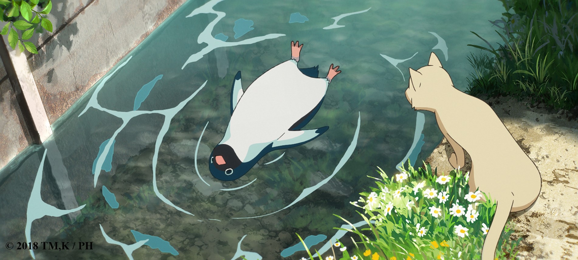 penguin lazing in water