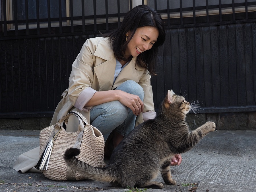 woman petting cat