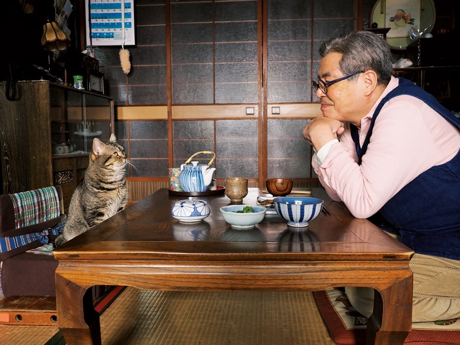 man sitting across from cat at table