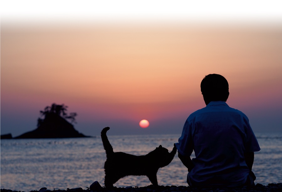 man watching sunset with cat