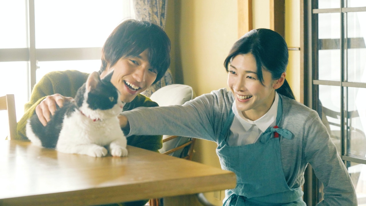 THE TRAVELLING CAT CHRONICLES with cat on table