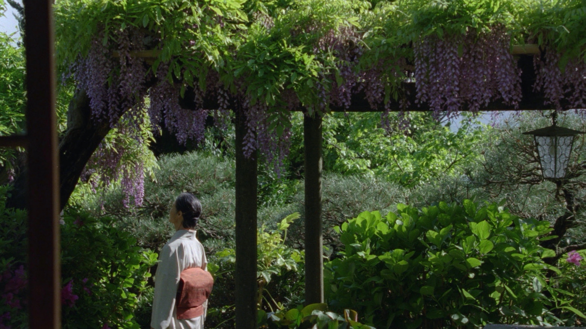 A GARDEN OF THE CAMELLIAS slide 6