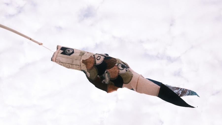 Kochi Koinobori Alexa Hatanaka